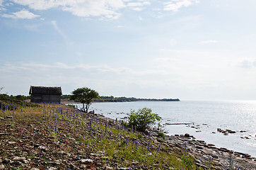 Image showing Cabin at coast