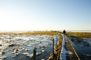 Image showing Footpath in winter