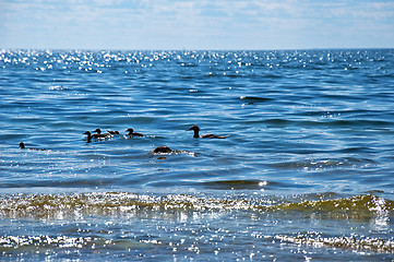 Image showing Glittering water