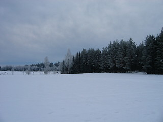 Image showing winter landscape