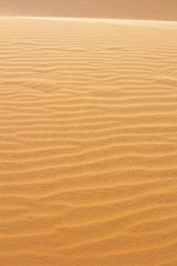 Image showing Red sand dune 