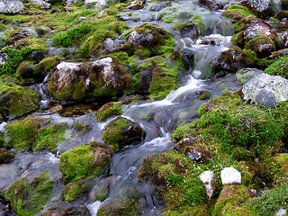 Image showing Small mountain stream flowing