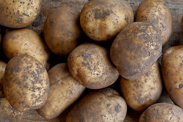 Image showing organic potatoes