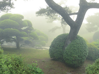 Image showing Japanese park by summer