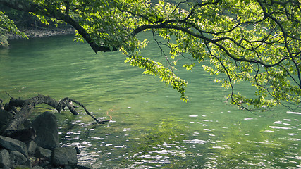 Image showing summer lake waters