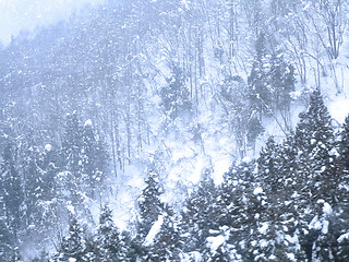 Image showing snowfall in mountains