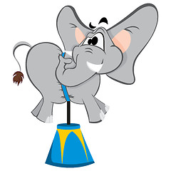 Image showing Circus elephant