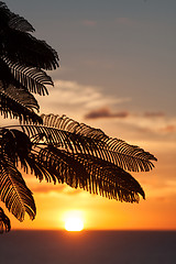 Image showing Dickenson Bay, Antigua