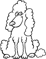 Image showing poodle dog cartoon for coloring book