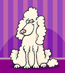 Image showing poodle dog cartoon illustration