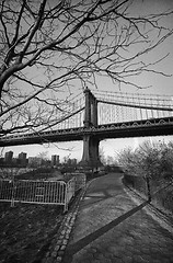 Image showing Manhattan Bridge Detail with Tree, New York City