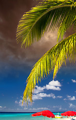 Image showing Palms and Caribbean Colors 