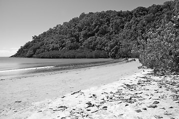 Image showing Daintree National Park, Australia