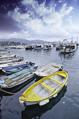 Image showing Landscape of Santa Margherita Ligure