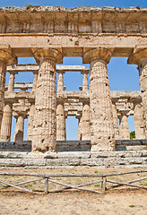 Image showing Paestum temple - Italy