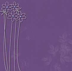 Image showing Purple background with white flowers 