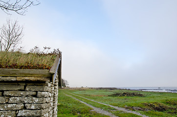 Image showing Grass roof