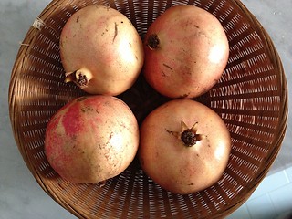 Image showing pomegranates 