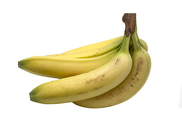 Image showing Fresh bananas