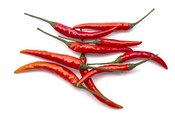 Image showing Fresh red chilli