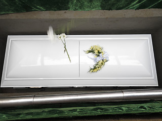 Image showing White Coffin