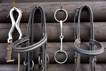 Image showing Details of diversity used horse reins