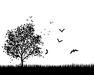 Image showing Maple Tree With Bats