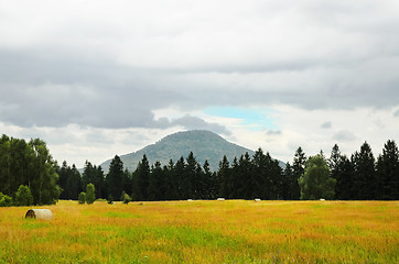 Image showing Rural Landscape