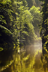 Image showing Kamenice River