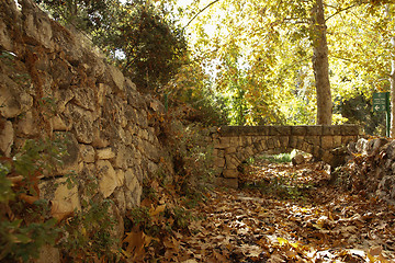 Image showing Autumn near jerusalem