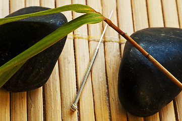 Image showing acupuncture needle