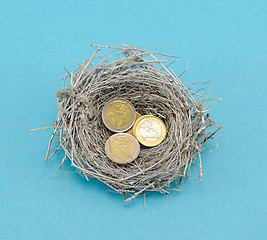 Image showing silver bird nest and euro coins money on blue 