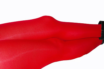 Image showing Legs in Tights