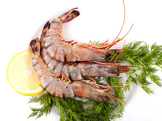 Image showing Plate with Tiger Prawns