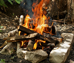 Image showing Campfire