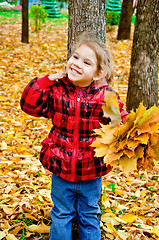 Image showing Little girl with a bouquet of yellow maple leaves