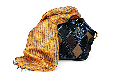 Image showing Bag female with scarf