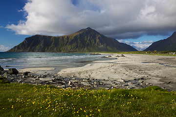 Image showing Beach on Lofoten