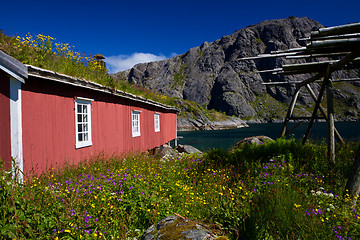Image showing Norwegian rorbu fishing hut