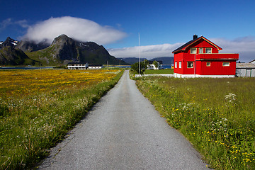 Image showing Lofoten