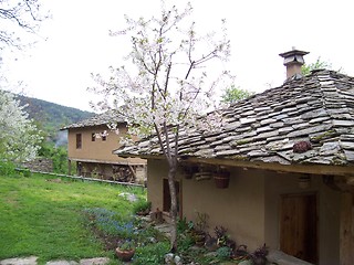 Image showing Old house