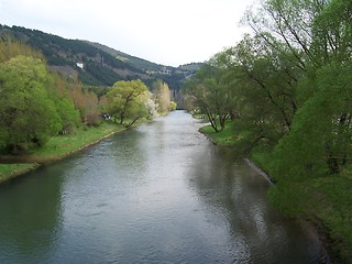 Image showing Quiet river