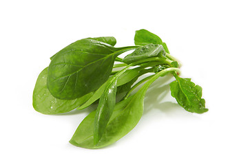 Image showing spinach leaves
