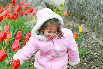 Image showing cute girl cut bouquet of red tulips on spring