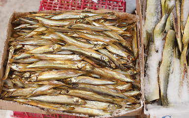 Image showing capelin