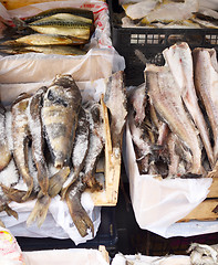 Image showing fish market