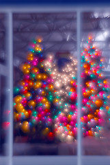 Image showing Abstract Blur Christmas Trees