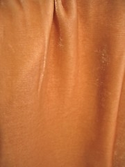Image showing Golden velvet