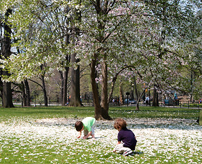 Image showing playing in the park