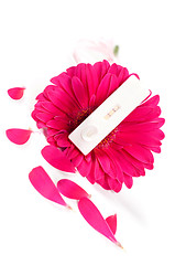 Image showing Positive pregnancy test and gerbera